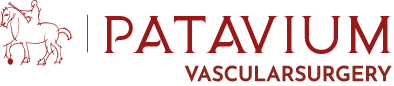 pataviumvascularsurgery.it