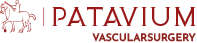 pataviumvascularsurgery.it